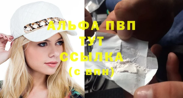дмт Алексин