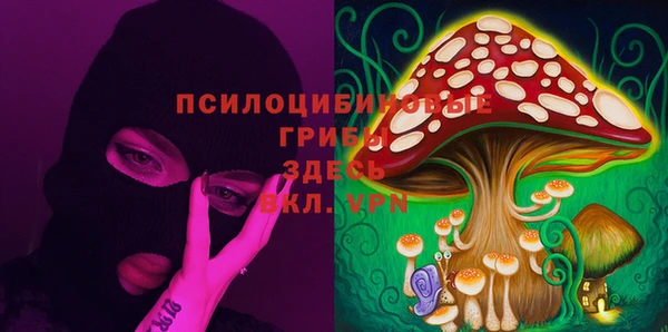 spice Семёнов