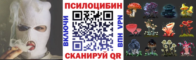 hydra ссылка  Гурьевск  Галлюциногенные грибы Magic Shrooms 