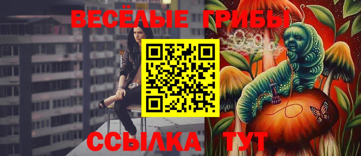 Псилоцибиновые грибы прущие грибы  Вход с VPN  Гурьевск 